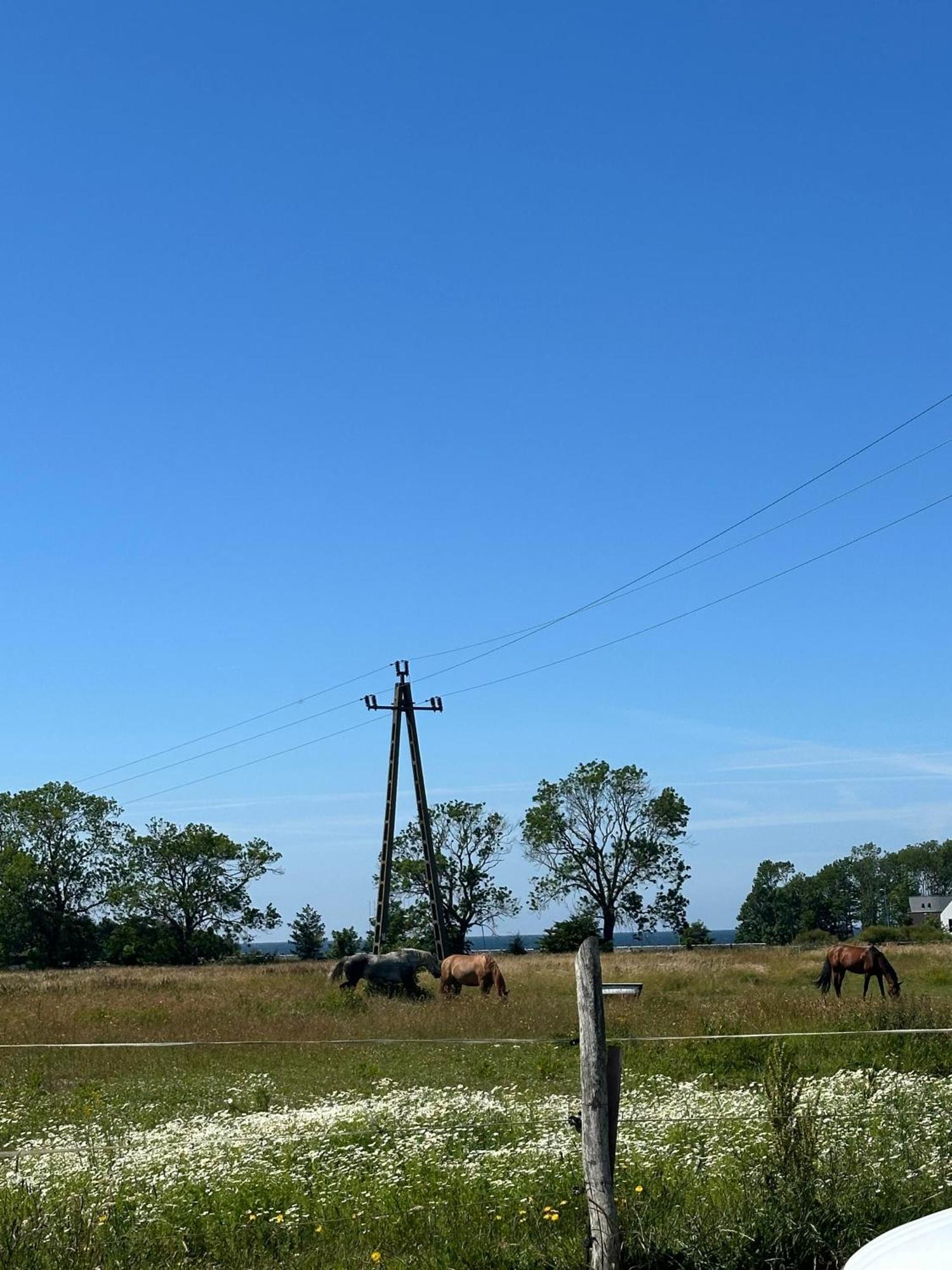 Domki Aurora Klimatyzowane, Z Podgrzewanym Basenem I Zjezdzalnia Wodna レバル エクステリア 写真